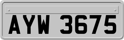 AYW3675