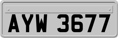 AYW3677