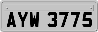 AYW3775