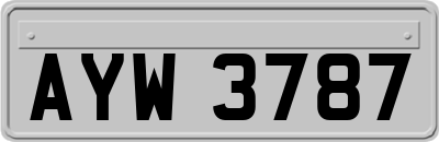 AYW3787