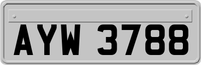 AYW3788