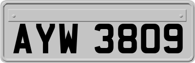 AYW3809