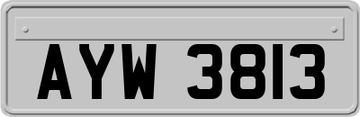 AYW3813