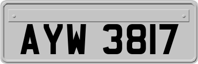AYW3817