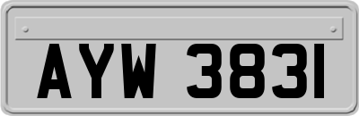 AYW3831