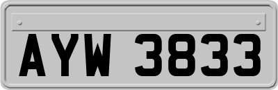 AYW3833