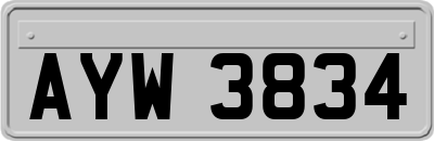 AYW3834