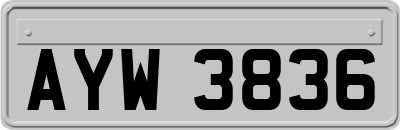 AYW3836
