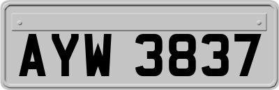 AYW3837