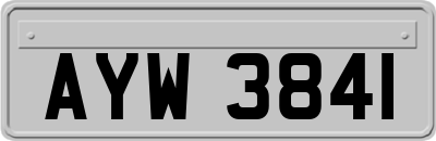 AYW3841