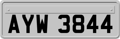 AYW3844