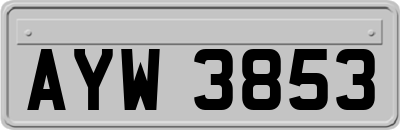 AYW3853