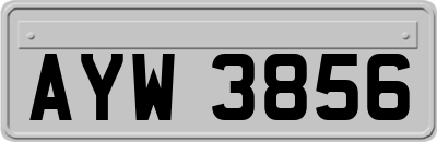 AYW3856
