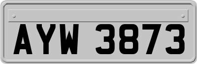 AYW3873