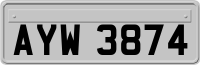 AYW3874