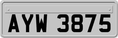 AYW3875