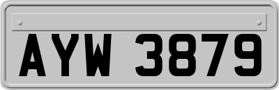 AYW3879