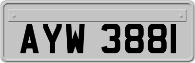 AYW3881