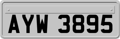 AYW3895
