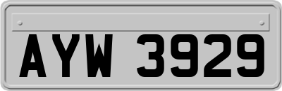 AYW3929