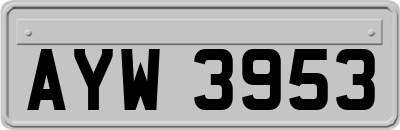 AYW3953
