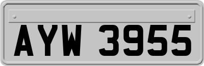 AYW3955