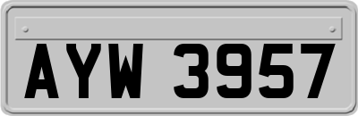 AYW3957