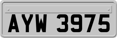 AYW3975