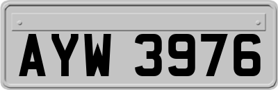 AYW3976