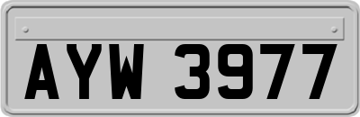 AYW3977