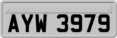 AYW3979