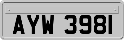 AYW3981