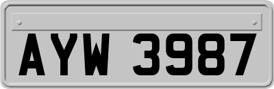 AYW3987
