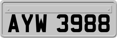 AYW3988