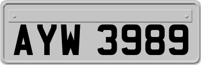 AYW3989