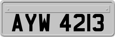 AYW4213