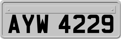 AYW4229