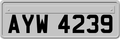 AYW4239
