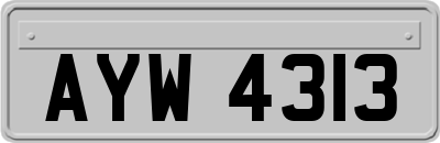 AYW4313