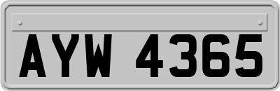 AYW4365