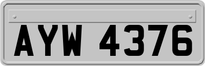 AYW4376