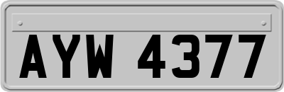 AYW4377