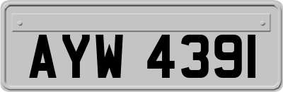 AYW4391