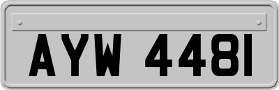 AYW4481