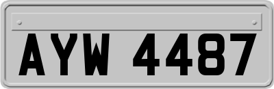 AYW4487
