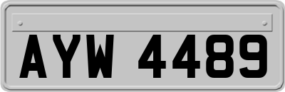 AYW4489