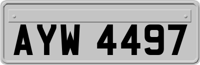 AYW4497