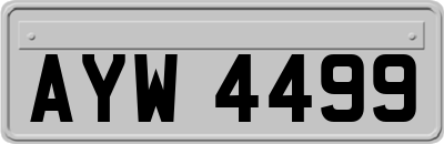 AYW4499