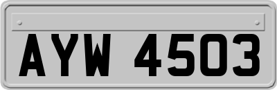 AYW4503