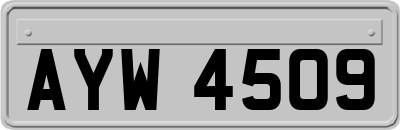 AYW4509